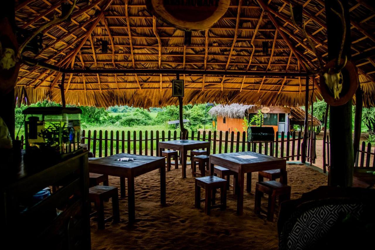 ホテル Animal View Point Yala ティッサマハーラーマ エクステリア 写真
