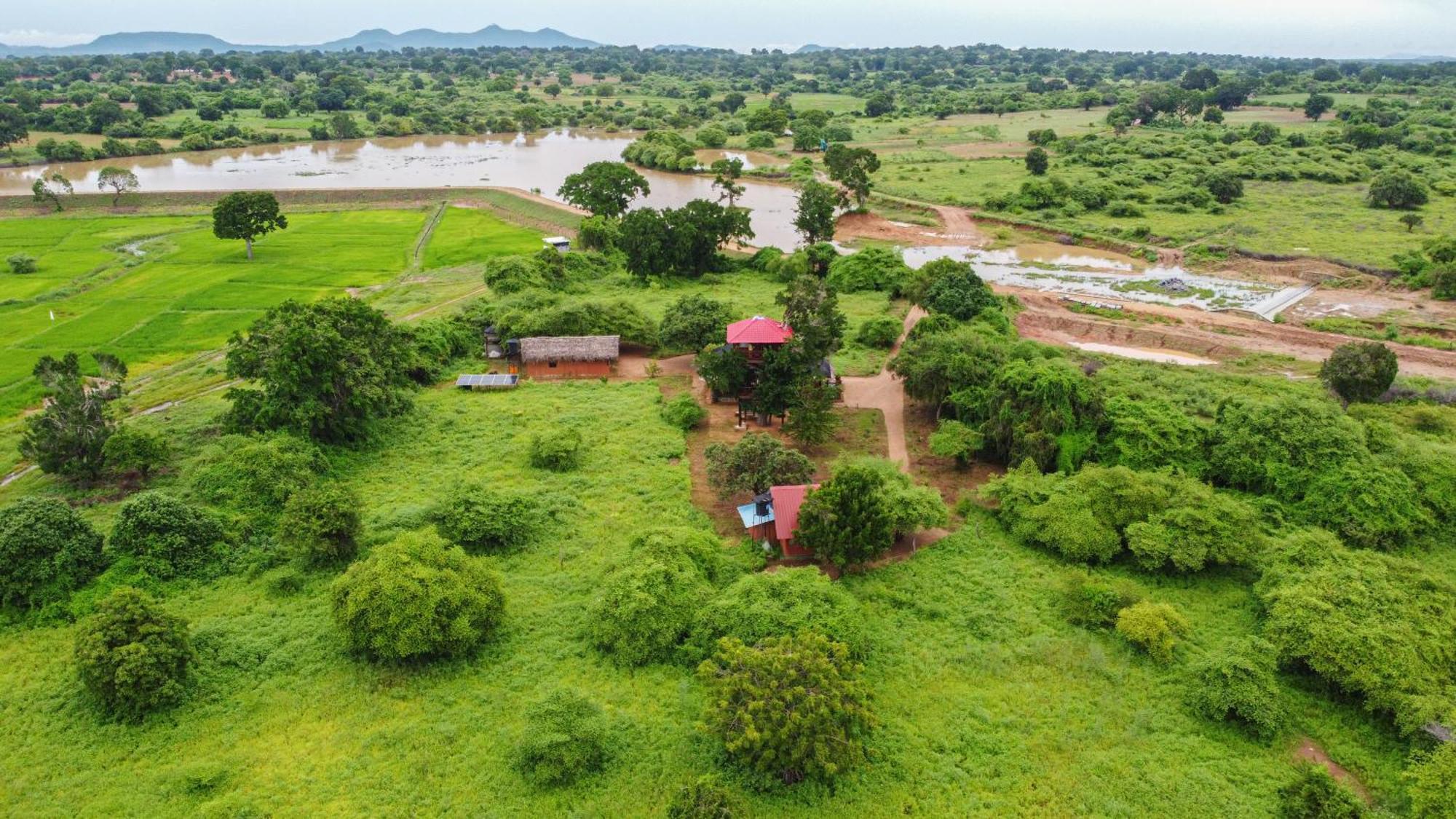 ホテル Animal View Point Yala ティッサマハーラーマ エクステリア 写真
