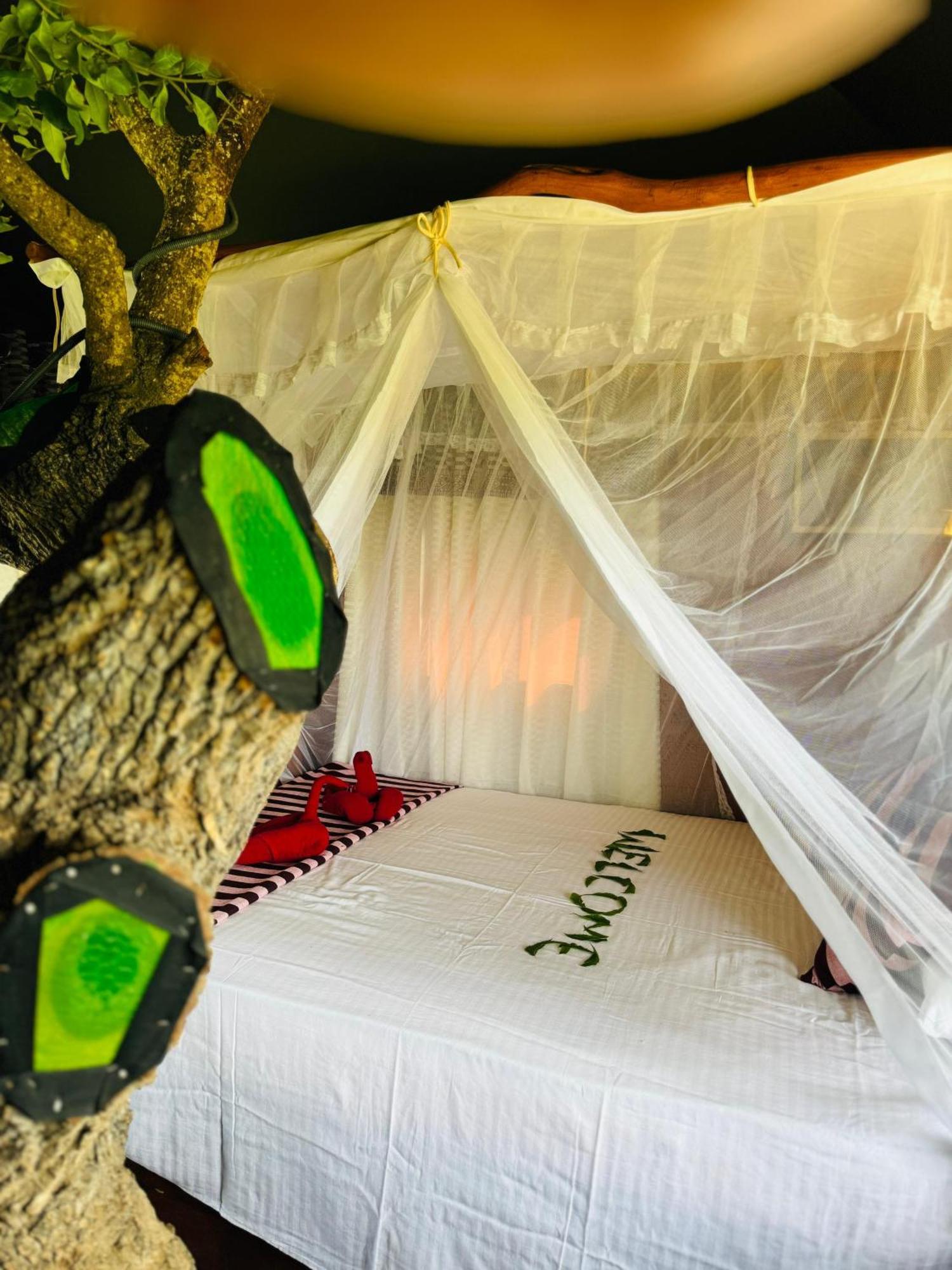 ホテル Animal View Point Yala ティッサマハーラーマ エクステリア 写真