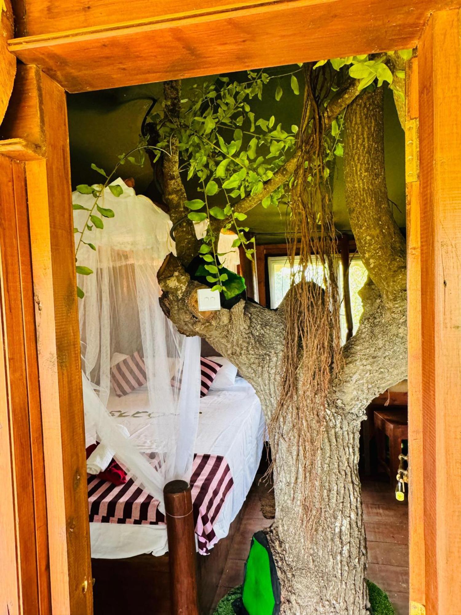 ホテル Animal View Point Yala ティッサマハーラーマ エクステリア 写真