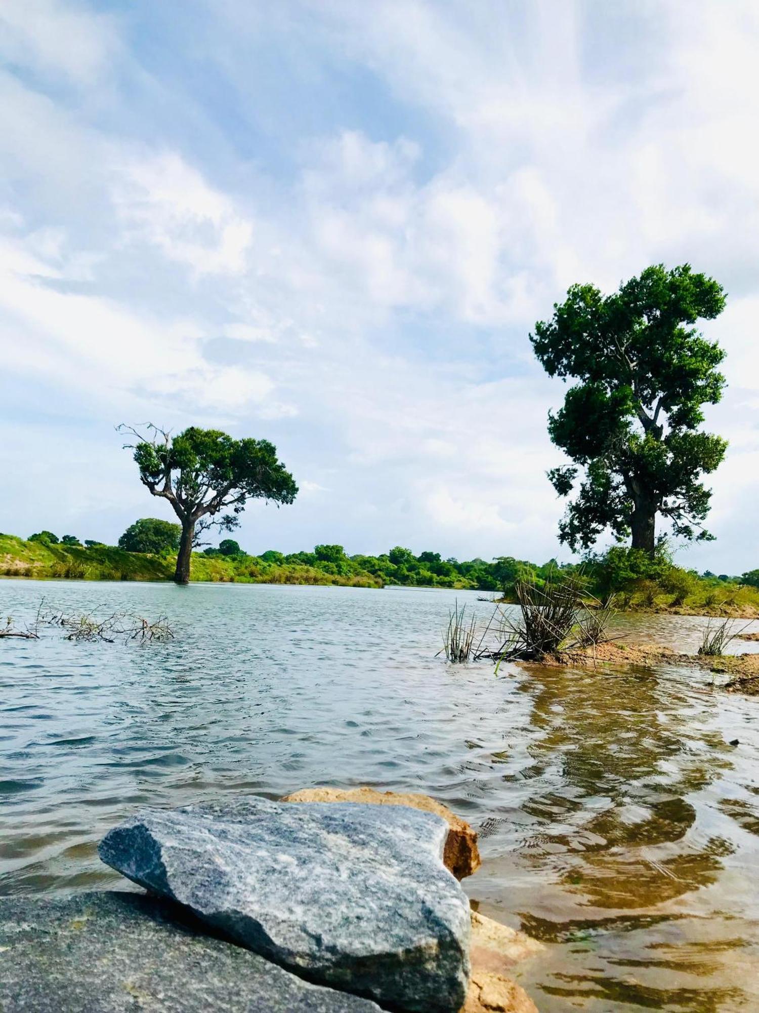 ホテル Animal View Point Yala ティッサマハーラーマ エクステリア 写真